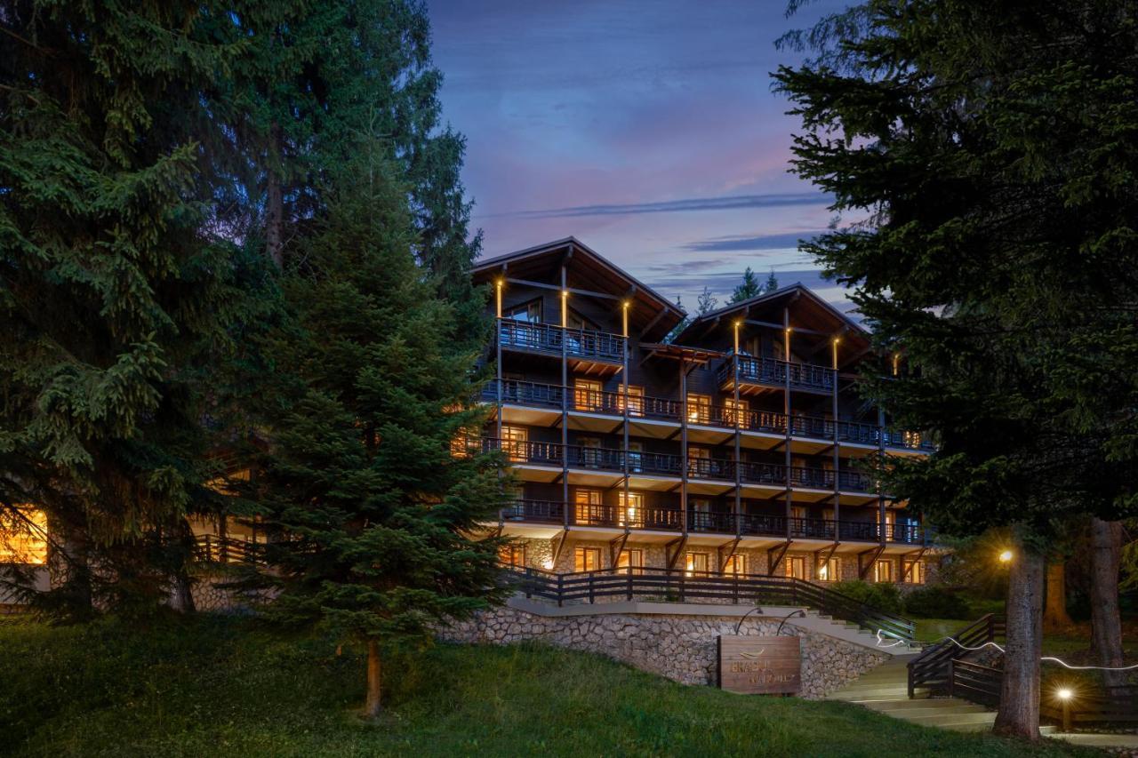 Hotel Ana Bradul