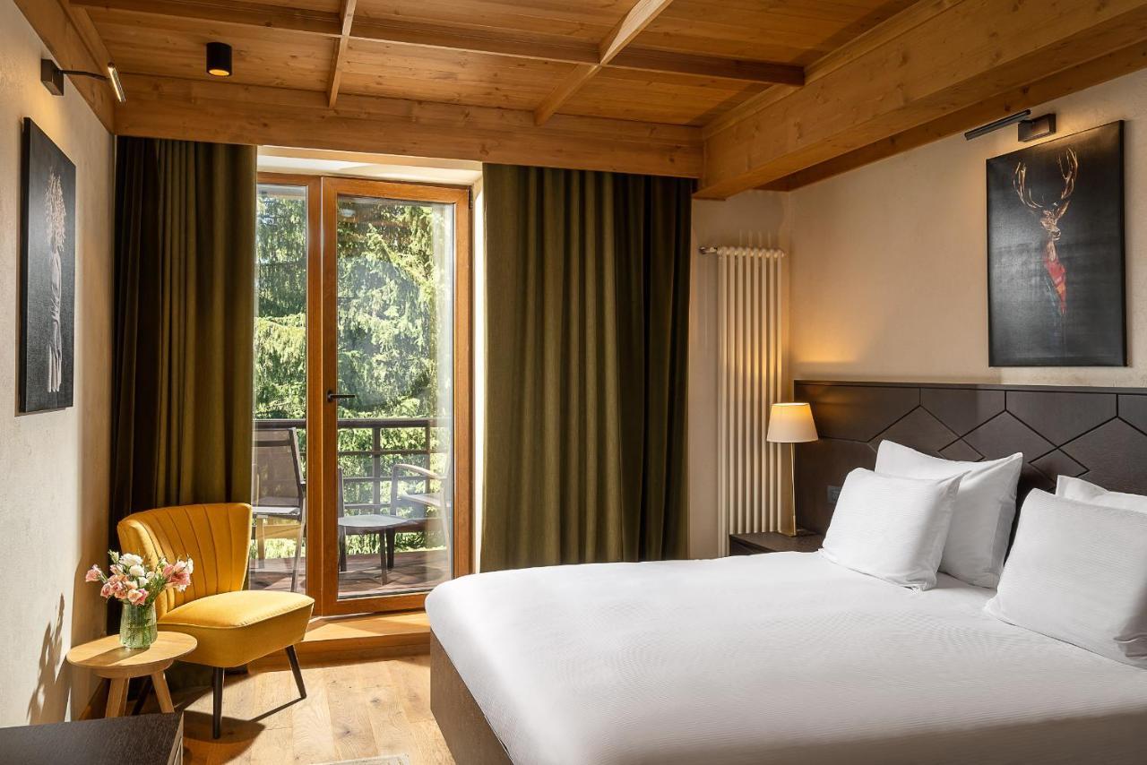 Hotel Ana Bradul
