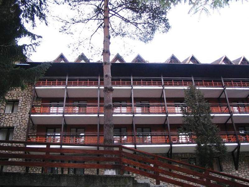 Ana Bradul 4* Poiana Brasov