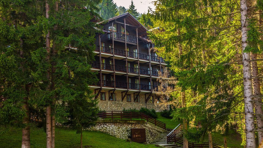 Hotel Ana Bradul